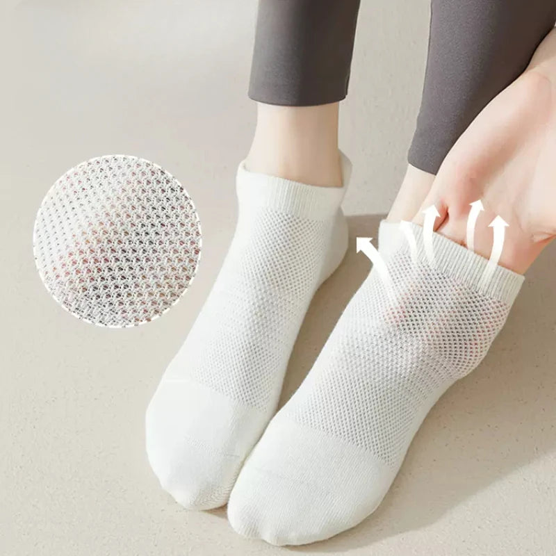 Chaussette Agripante